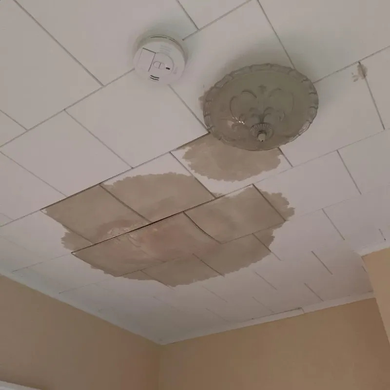Ceiling Water Damage Repair in Coos County, NH