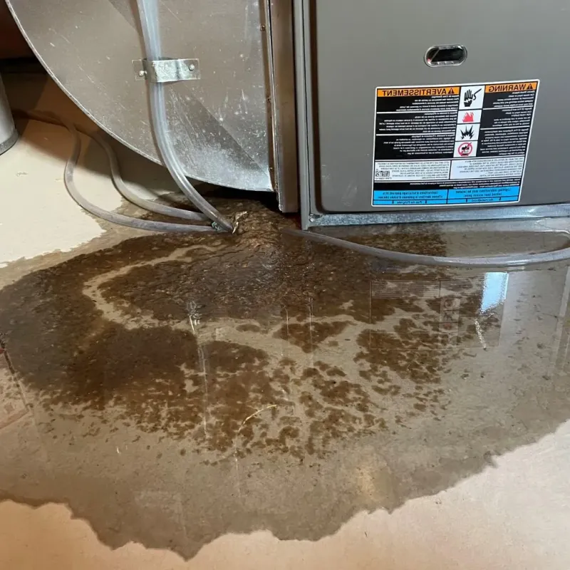 Pipe Burst and Leak Restoration in Coos County, NH